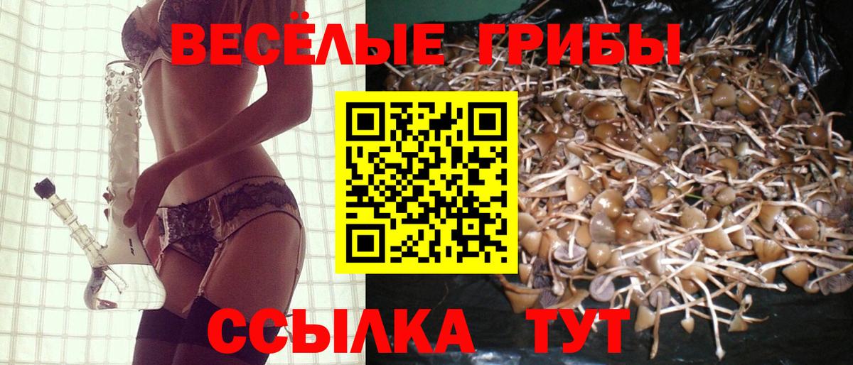 Галлюциногенные грибы GOLDEN TEACHER Алексеевка